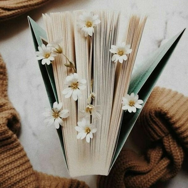 Books - Novels