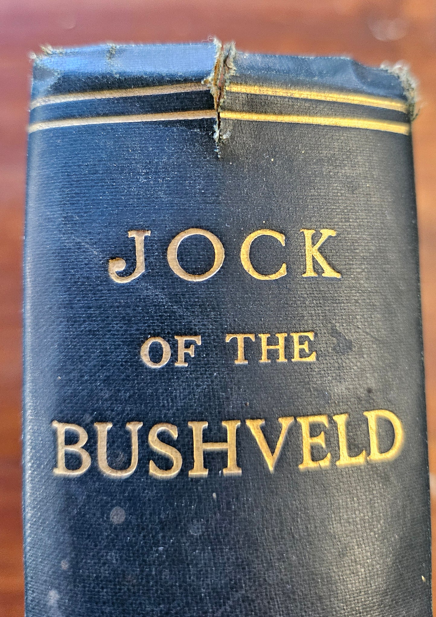 Jock of the bushveld