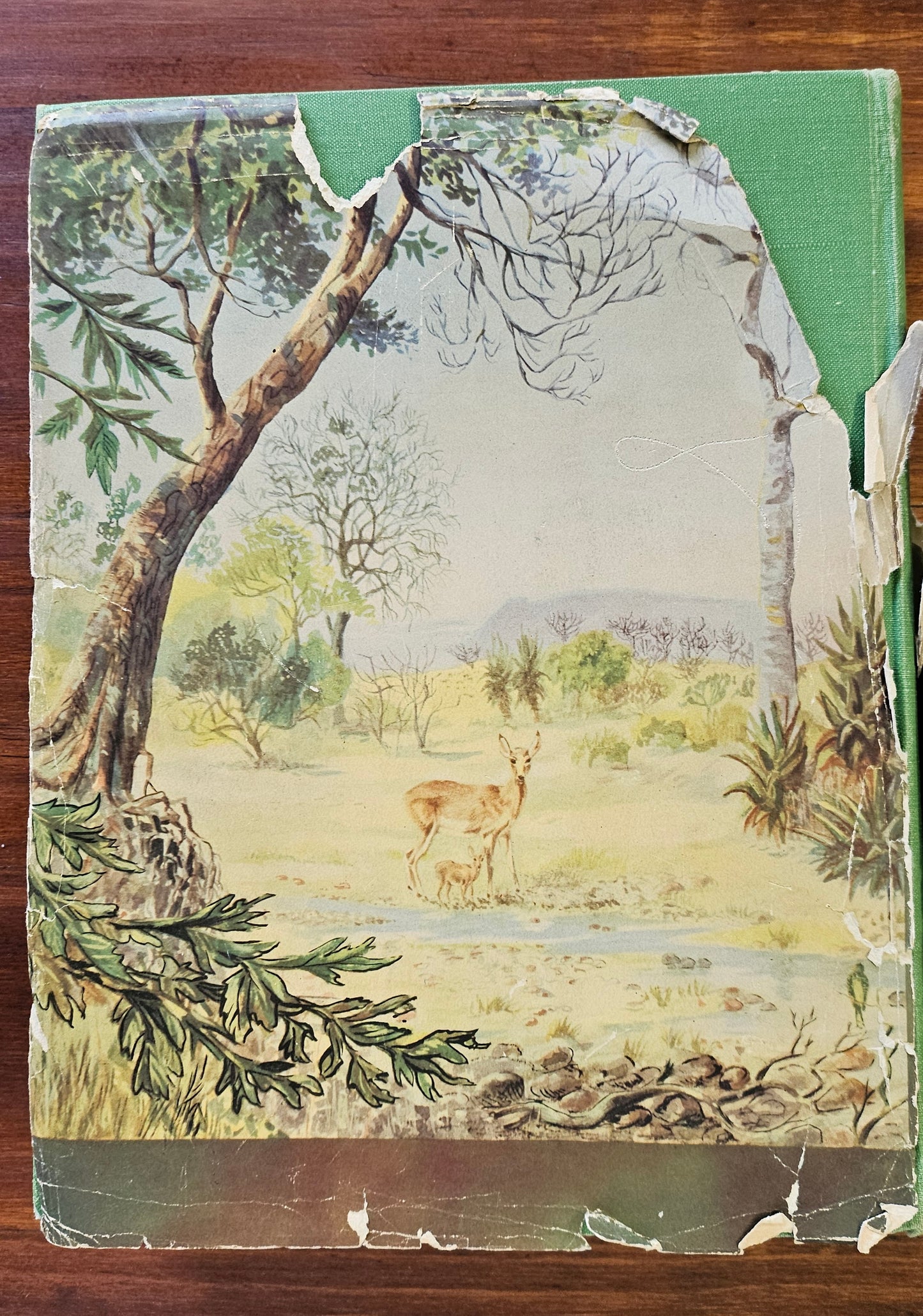 Roberts Austin, The mammals of South Africa