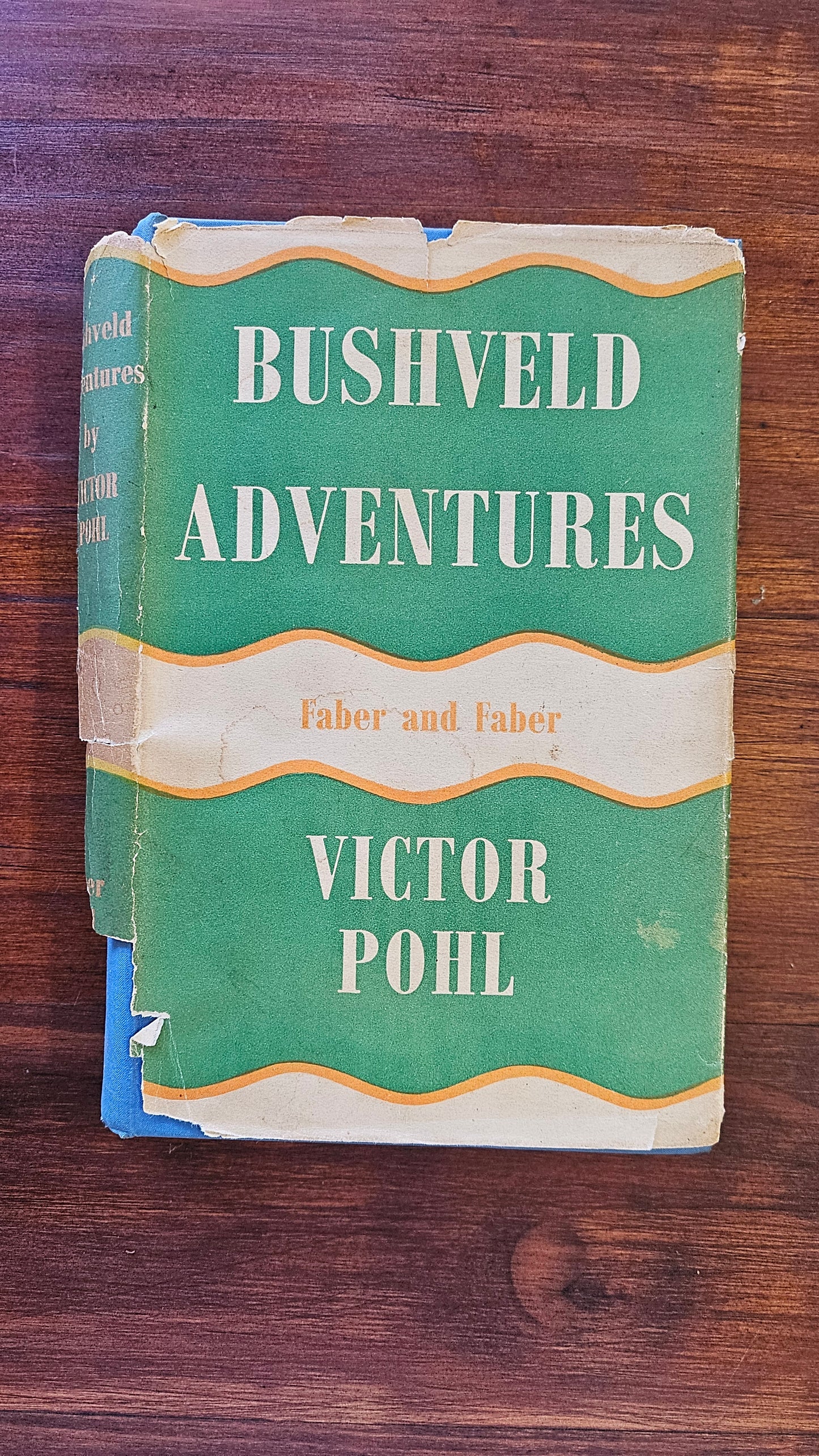 Pohl Victor , Bushveld Adventure