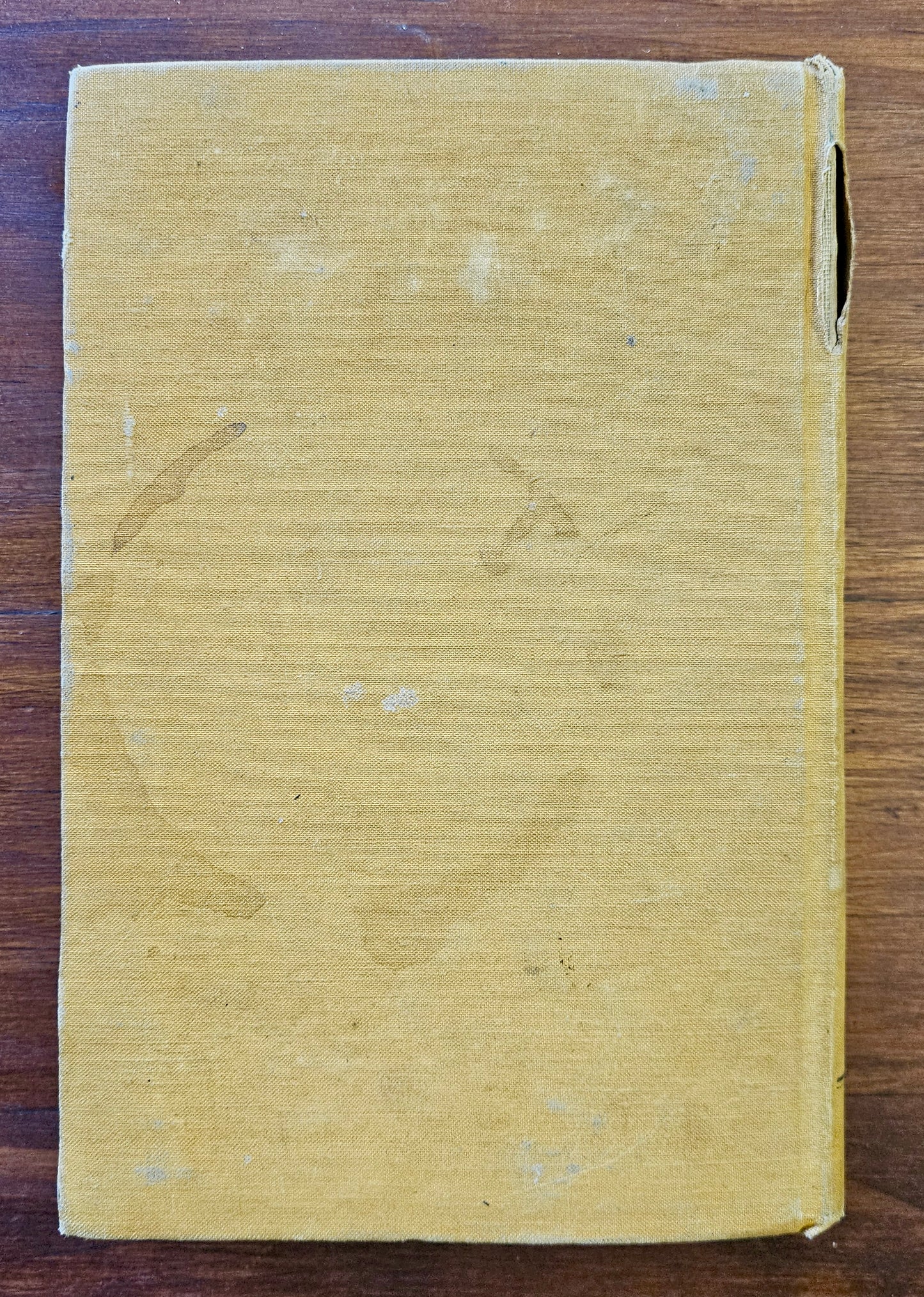 Conradie W.J ,Die Afrikaanse kinderbybel