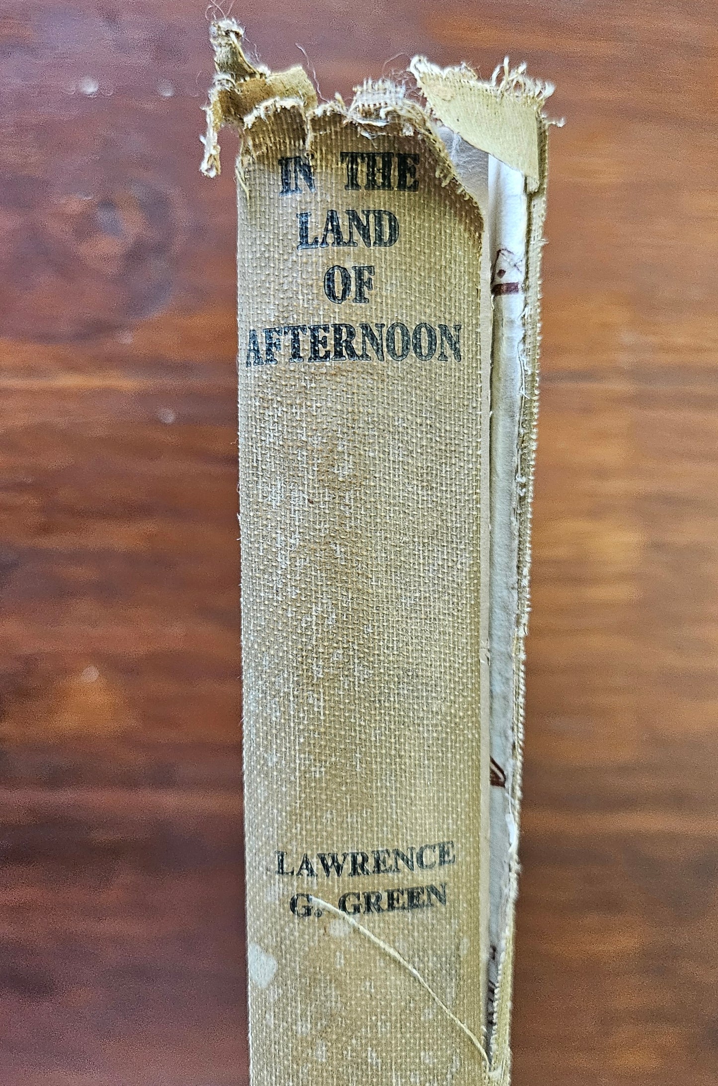 Green Lawrence, In the land of afternoon