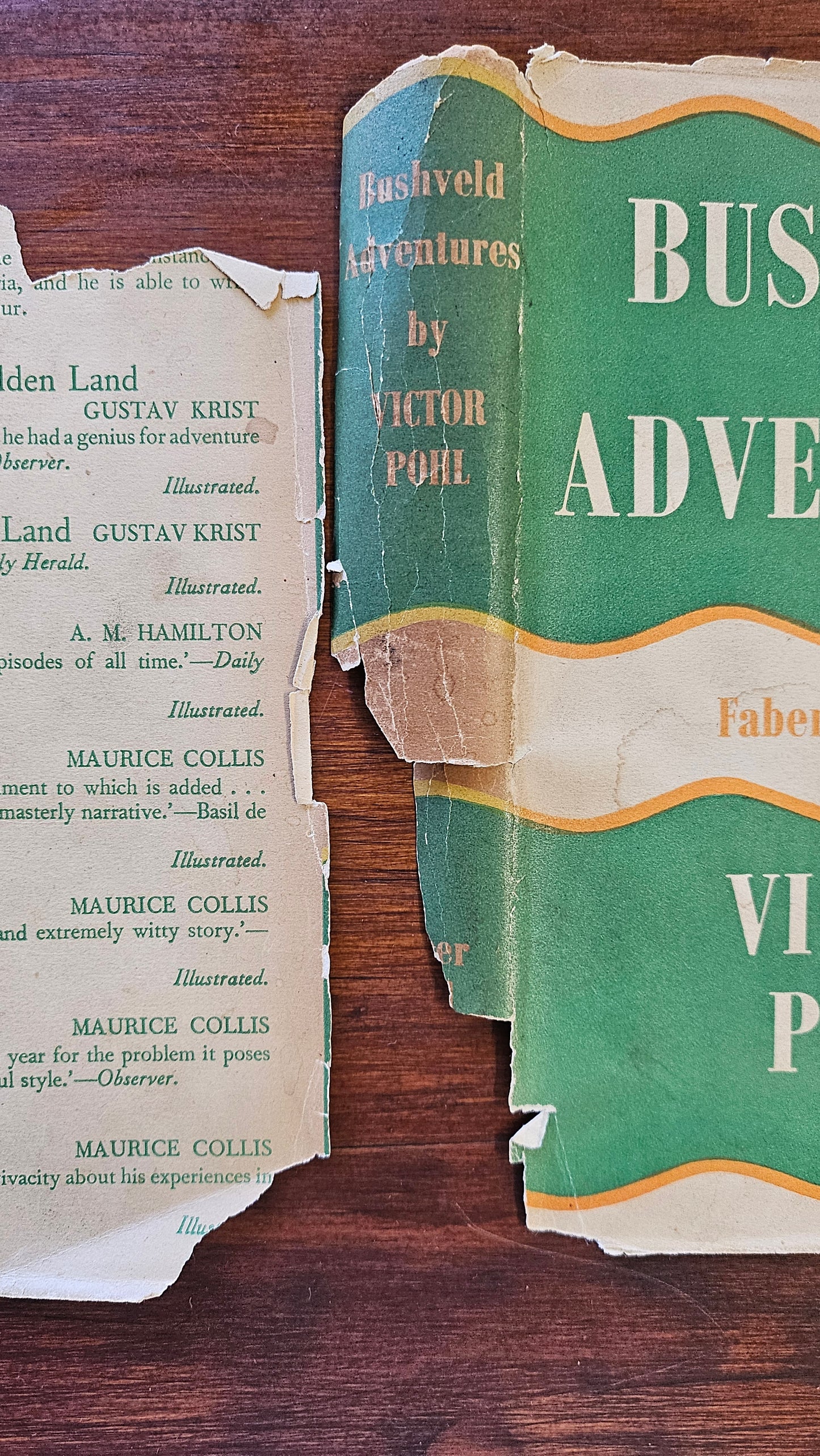 Pohl Victor , Bushveld Adventure
