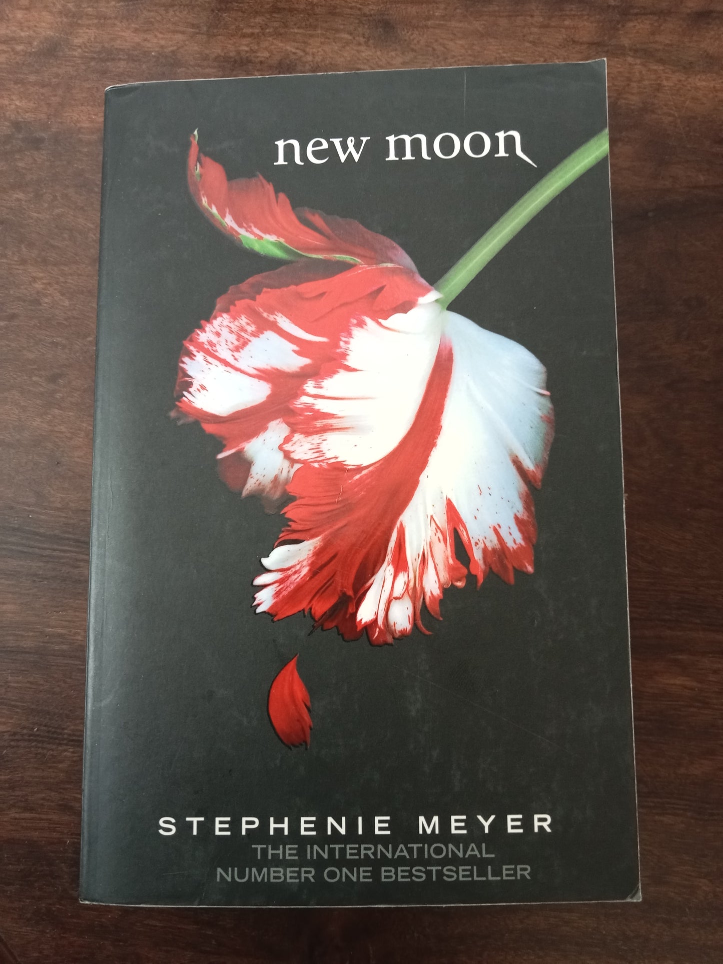 Twilight series Stephenie Meyer
