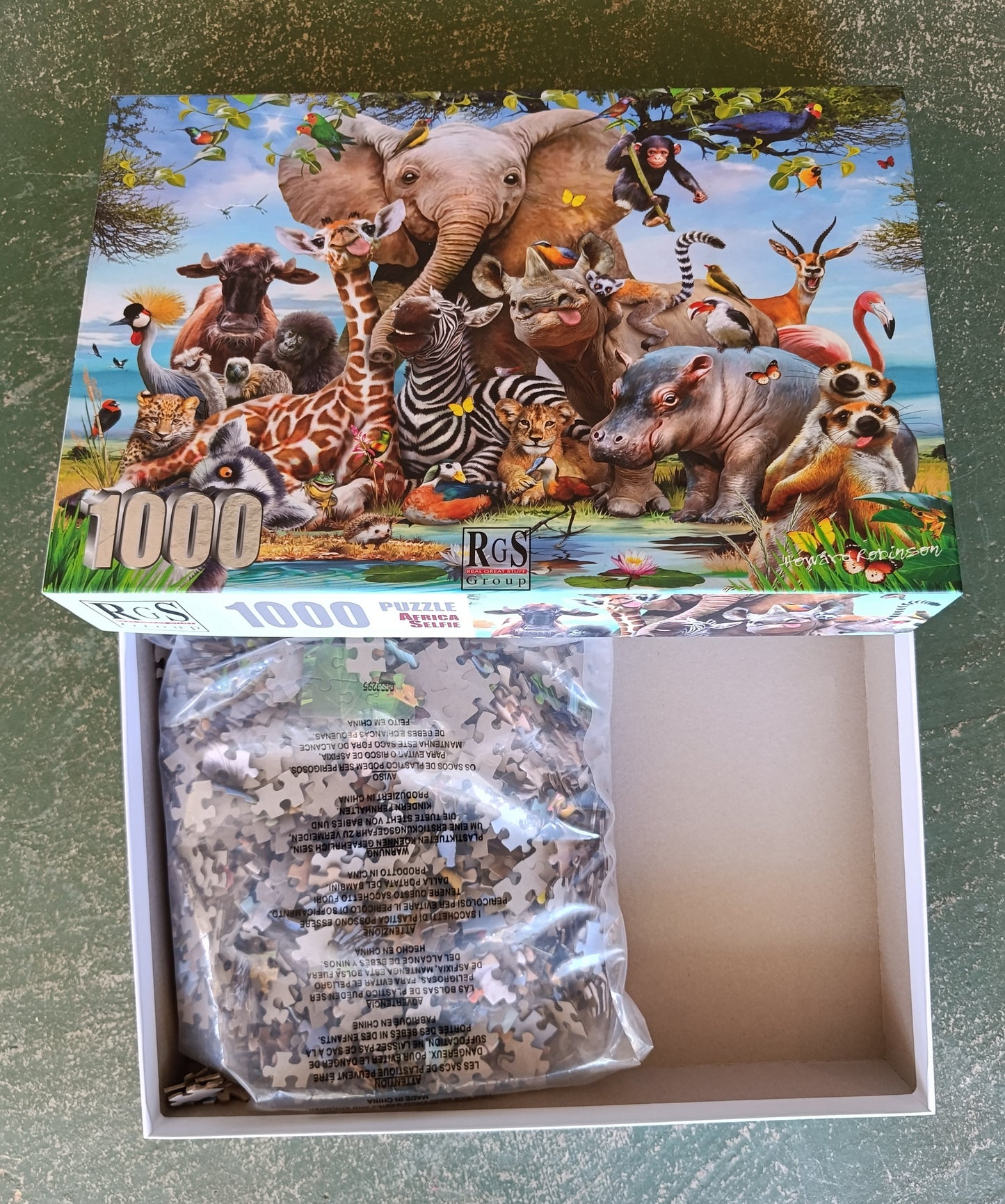 Puzzle RgS Africa selfie