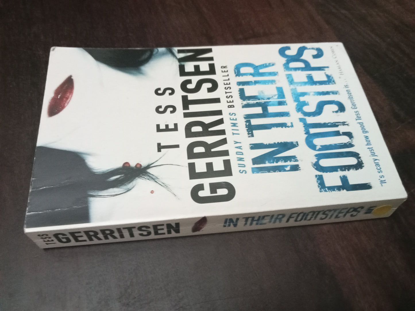 Gerritsen Tess, In their Footsteps