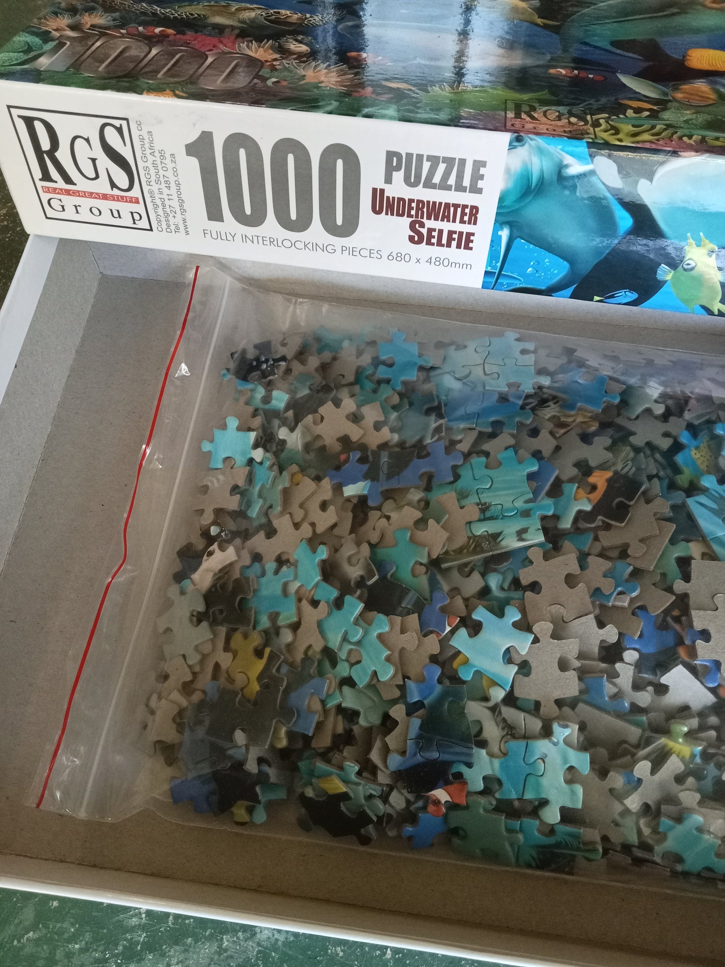 Puzzle RGS Underwater Selfie