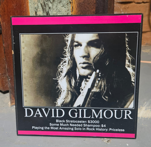 Block Mounted picture David Gilmour