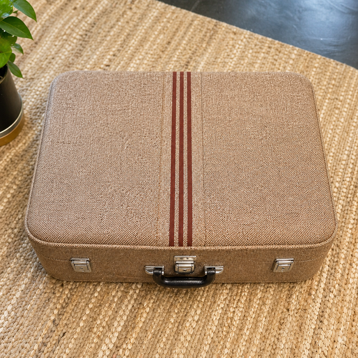 Vintage Suitcase USA Skyway