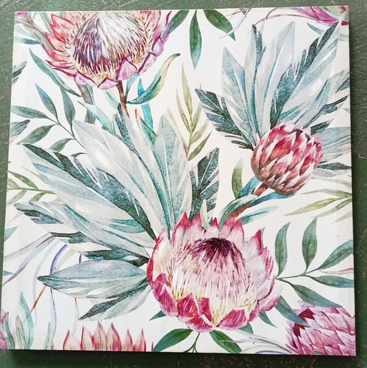 Protea canvas print