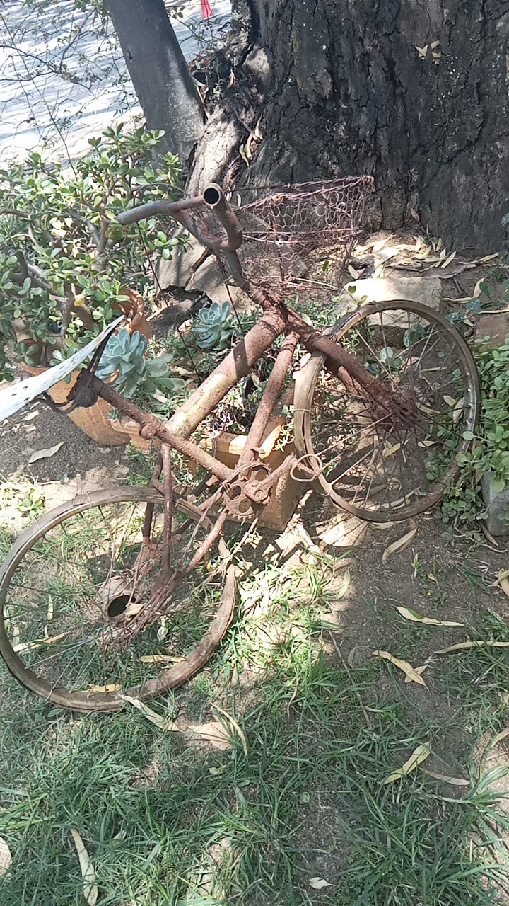 Handmade steel Deco bicycle