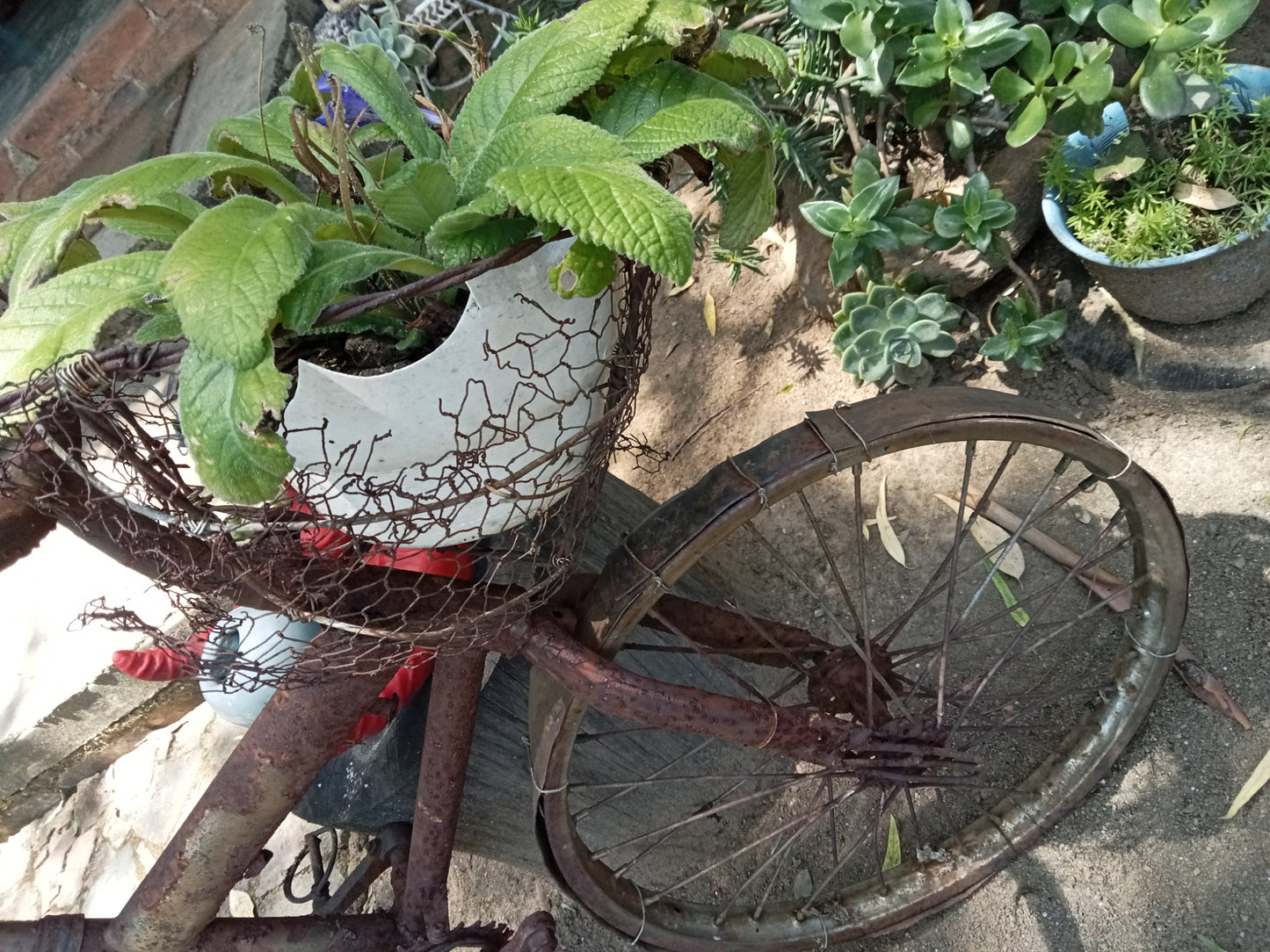 Handmade steel Deco bicycle