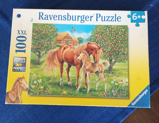 Puzzle Ravensburger Kids (2)