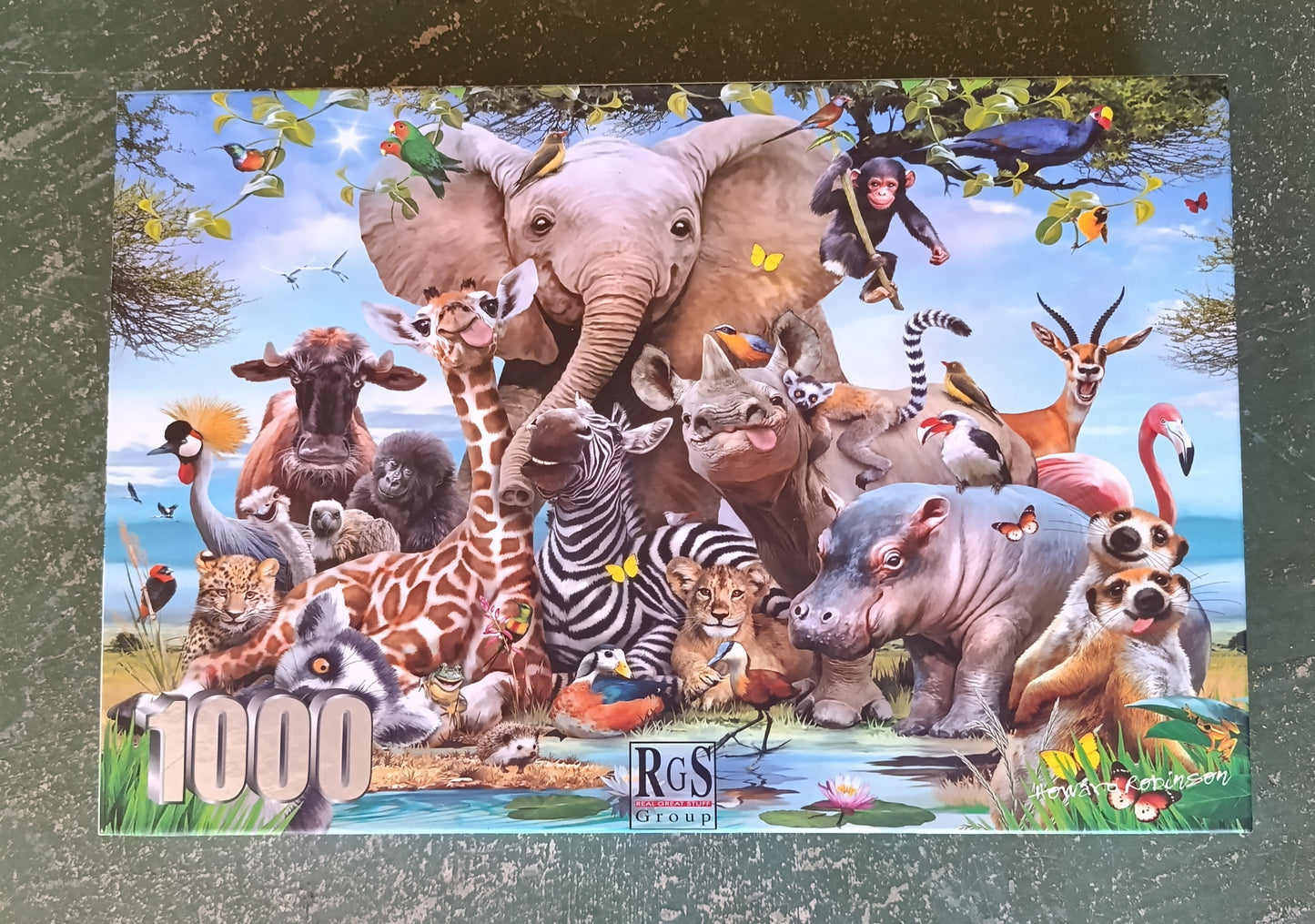 Puzzle RgS Africa selfie