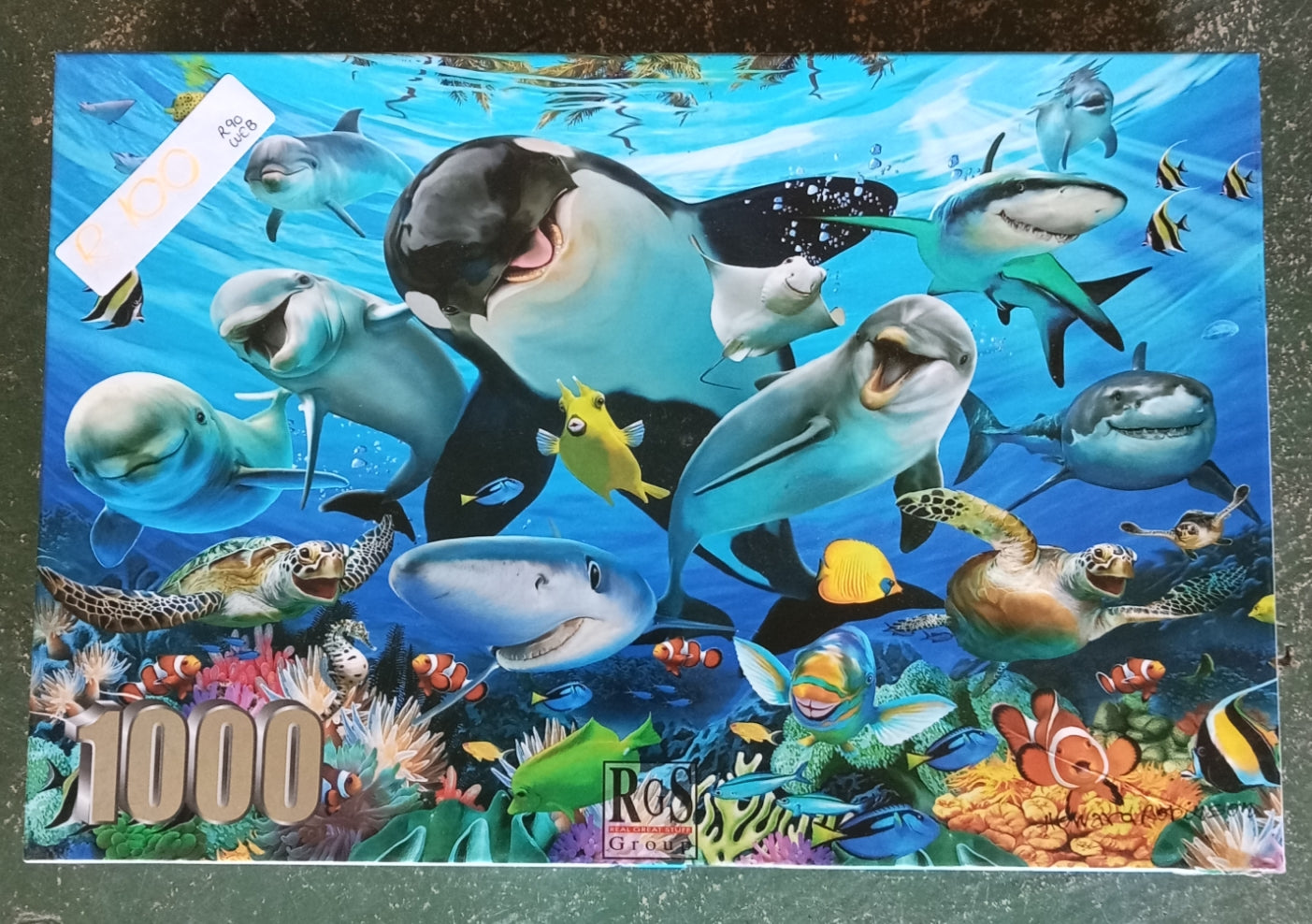 Puzzle RGS Underwater Selfie