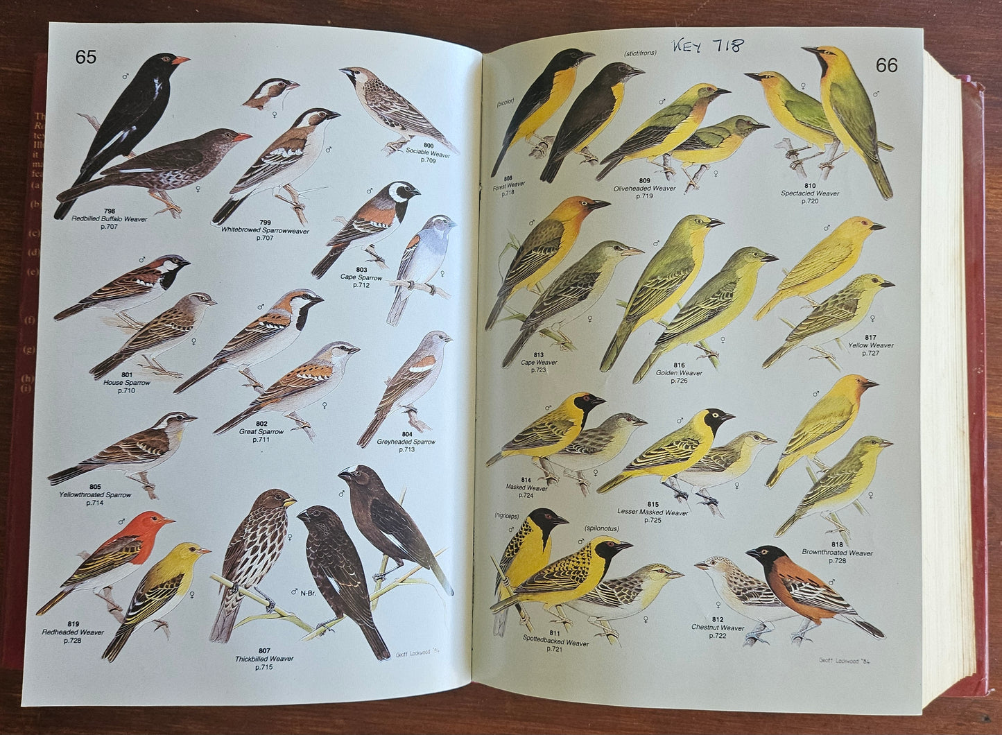 Maclean Gordon Lindsay, Roberts' Birds of Southern Africa (Signed)