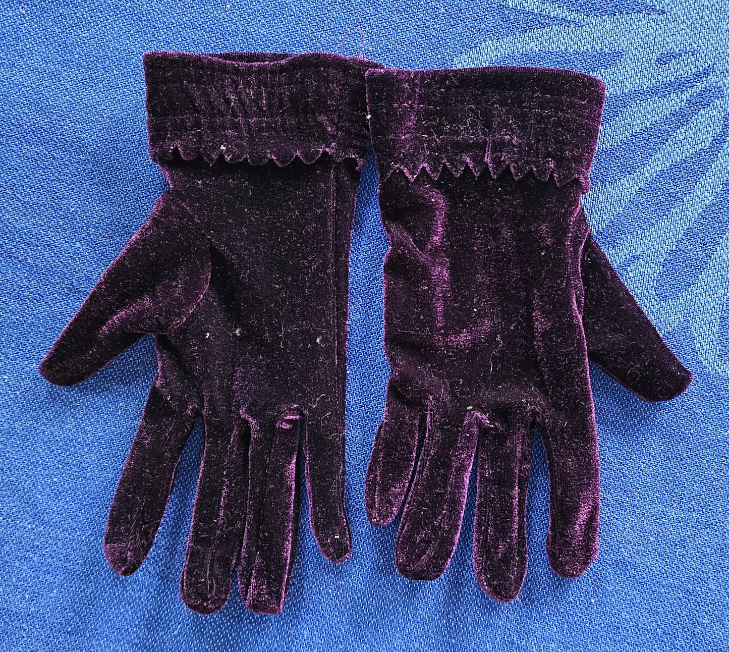 Gloves Purple Velvet