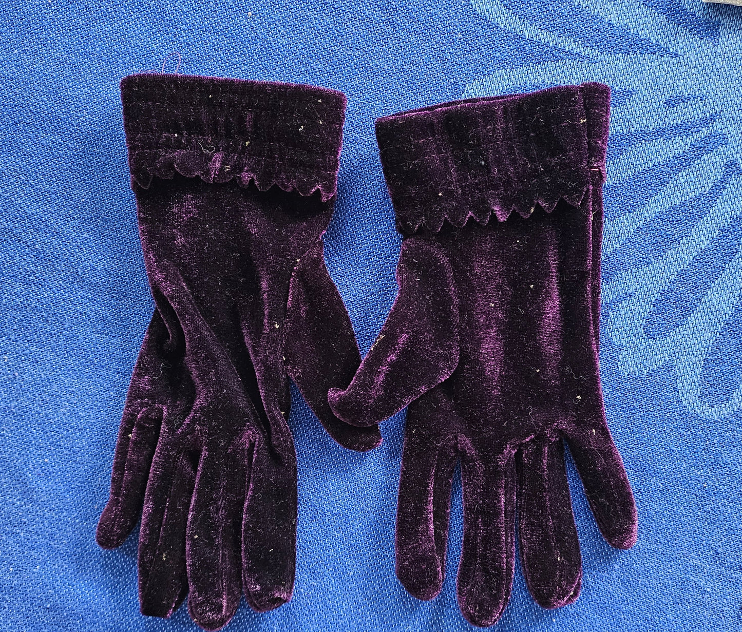 Gloves Purple Velvet