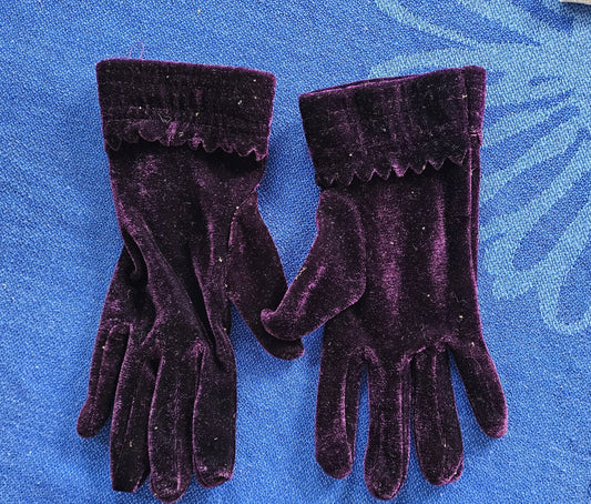 Gloves Purple Velvet